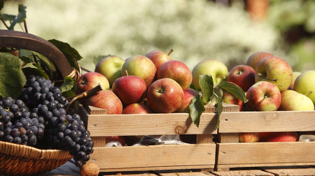 Rasp zu Natz - frisches Obst aus dem Obstgarten